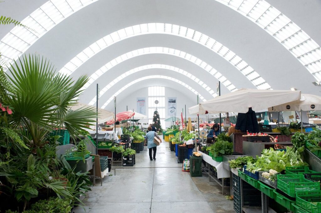 visite o mercado de matosinhos