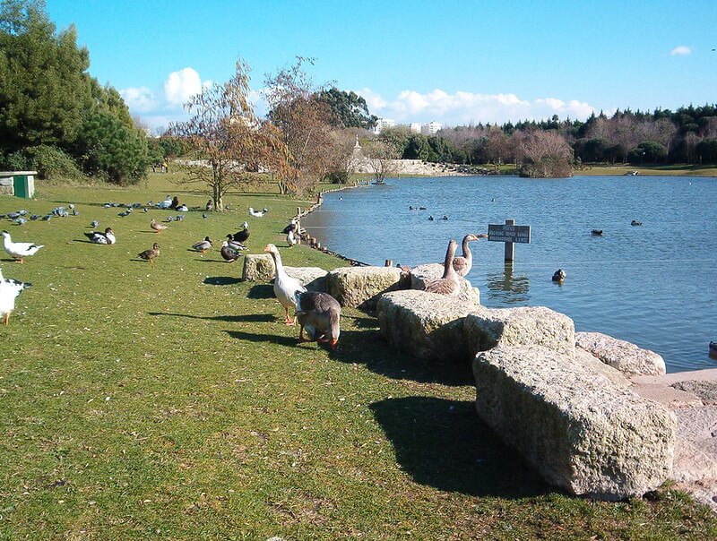 Parque da cidade do Porto